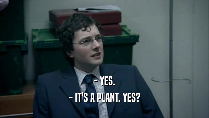 - YES.
 - IT'S A PLANT. YES?
 