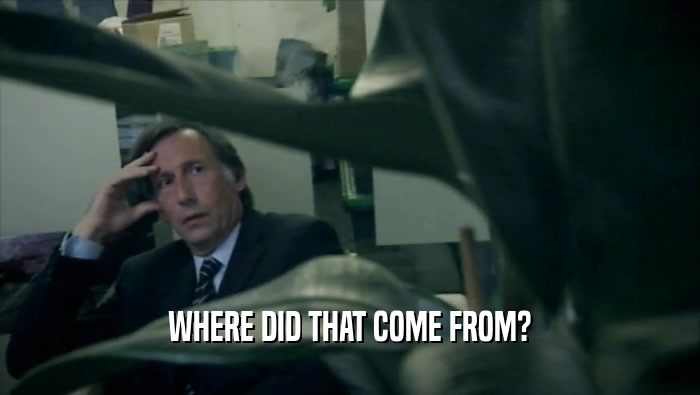 WHERE DID THAT COME FROM?  