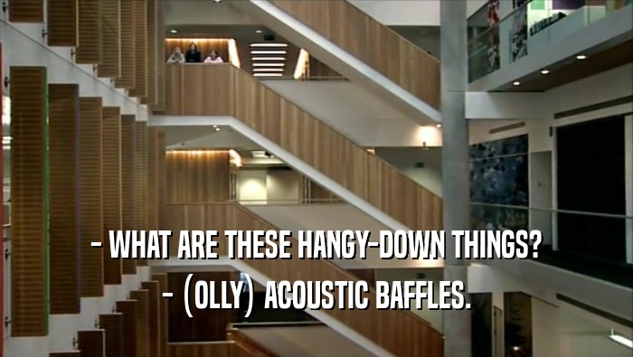 - WHAT ARE THESE HANGY-DOWN THINGS? - (OLLY) ACOUSTIC BAFFLES. 