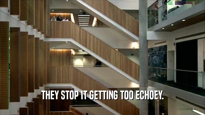 THEY STOP IT GETTING TOO ECHOEY.  