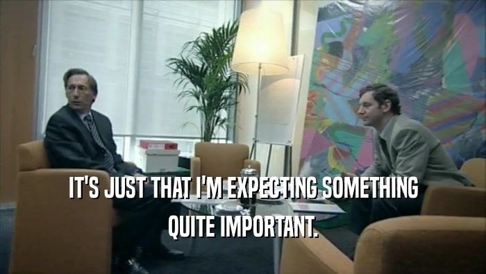 IT'S JUST THAT I'M EXPECTING SOMETHING QUITE IMPORTANT. 