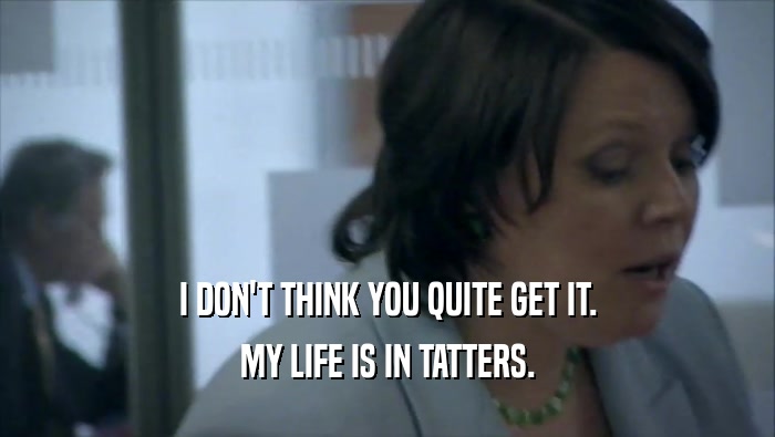 I DON'T THINK YOU QUITE GET IT. MY LIFE IS IN TATTERS. 