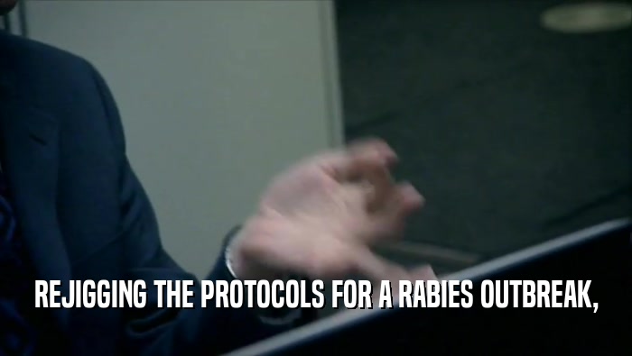 REJIGGING THE PROTOCOLS FOR A RABIES OUTBREAK,  