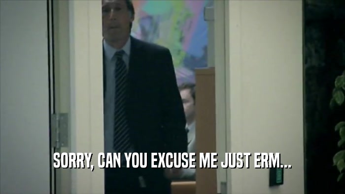 SORRY, CAN YOU EXCUSE ME JUST ERM...  
