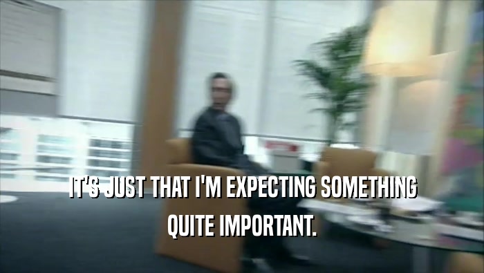 IT'S JUST THAT I'M EXPECTING SOMETHING QUITE IMPORTANT. 