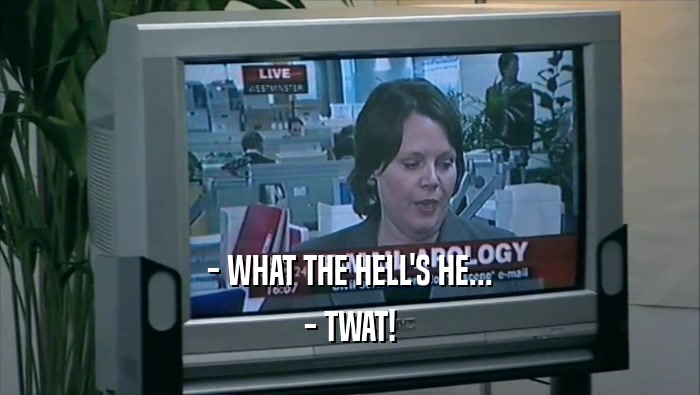 - WHAT THE HELL'S HE... - TWAT! 