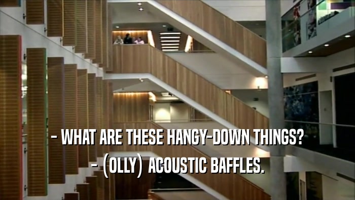 - WHAT ARE THESE HANGY-DOWN THINGS? - (OLLY) ACOUSTIC BAFFLES. 