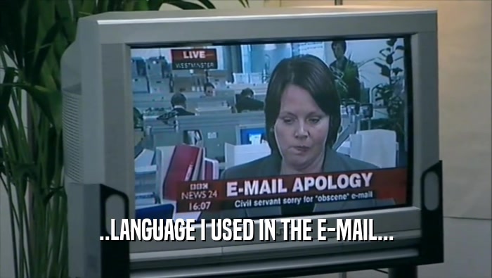 ..LANGUAGE I USED IN THE E-MAIL...  