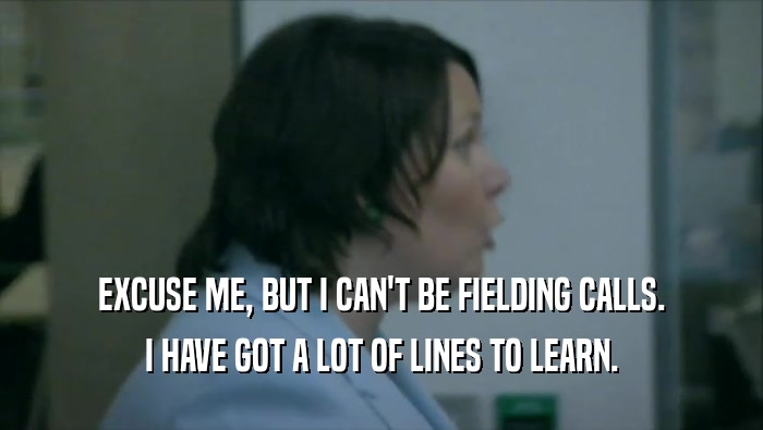 EXCUSE ME, BUT I CAN'T BE FIELDING CALLS. I HAVE GOT A LOT OF LINES TO LEARN. 