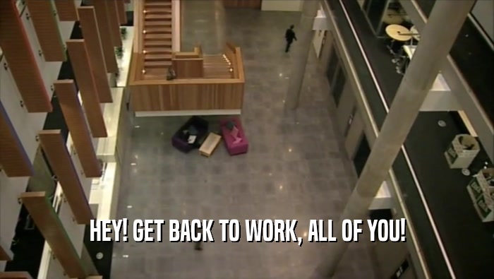 HEY! GET BACK TO WORK, ALL OF YOU!  