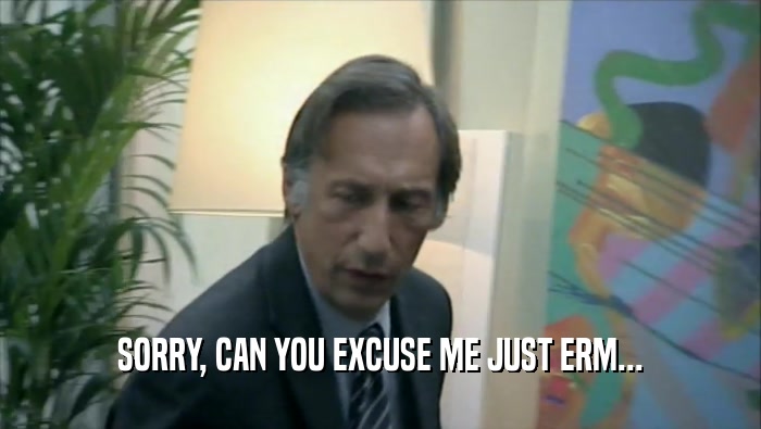 SORRY, CAN YOU EXCUSE ME JUST ERM...  