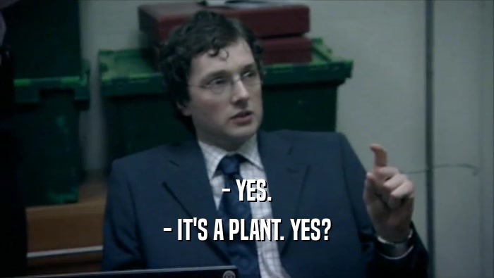 - YES.
 - IT'S A PLANT. YES?
 