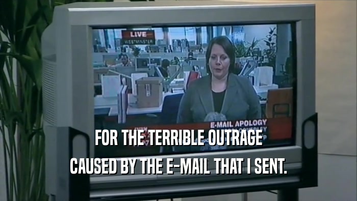 FOR THE TERRIBLE OUTRAGE CAUSED BY THE E-MAIL THAT I SENT. 