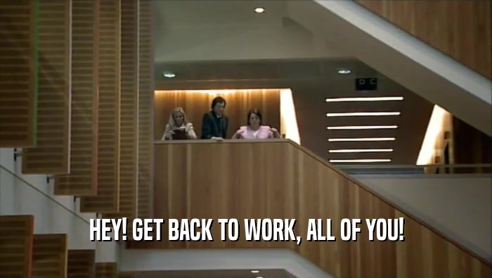 HEY! GET BACK TO WORK, ALL OF YOU!  