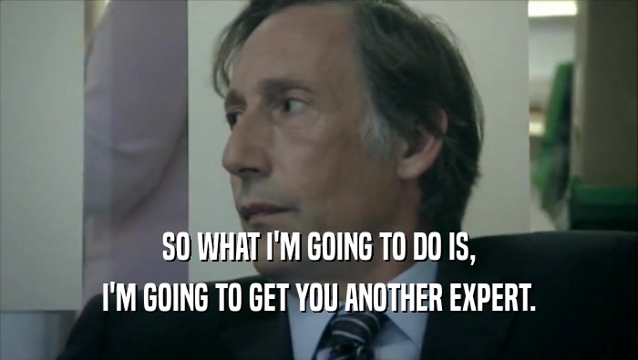 SO WHAT I'M GOING TO DO IS, I'M GOING TO GET YOU ANOTHER EXPERT. 
