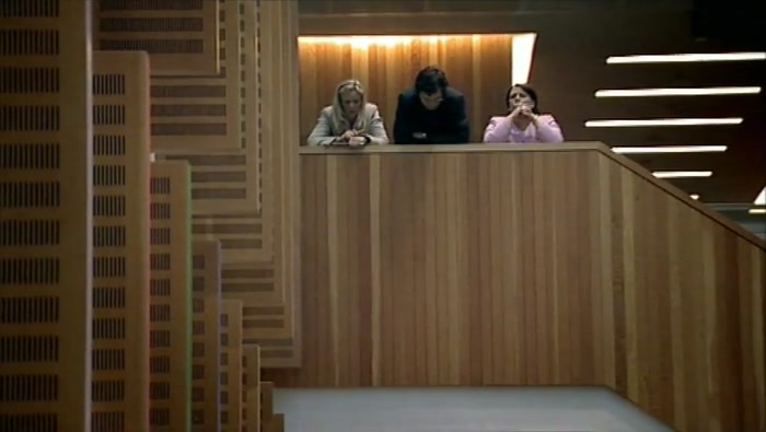 - WHAT ARE THESE HANGY-DOWN THINGS? - (OLLY) ACOUSTIC BAFFLES. 
