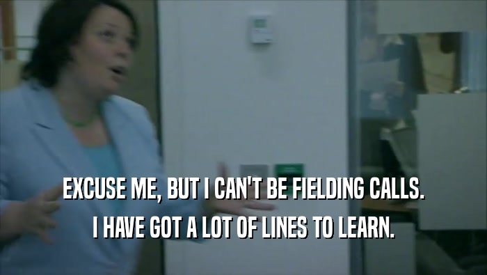 EXCUSE ME, BUT I CAN'T BE FIELDING CALLS. I HAVE GOT A LOT OF LINES TO LEARN. 