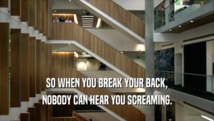 SO WHEN YOU BREAK YOUR BACK, NOBODY CAN HEAR YOU SCREAMING. 