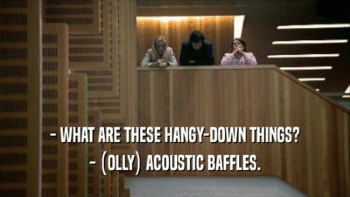 - WHAT ARE THESE HANGY-DOWN THINGS? - (OLLY) ACOUSTIC BAFFLES. 