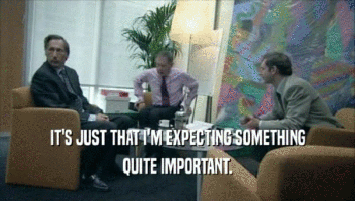 IT'S JUST THAT I'M EXPECTING SOMETHING QUITE IMPORTANT. 