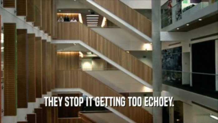THEY STOP IT GETTING TOO ECHOEY.  