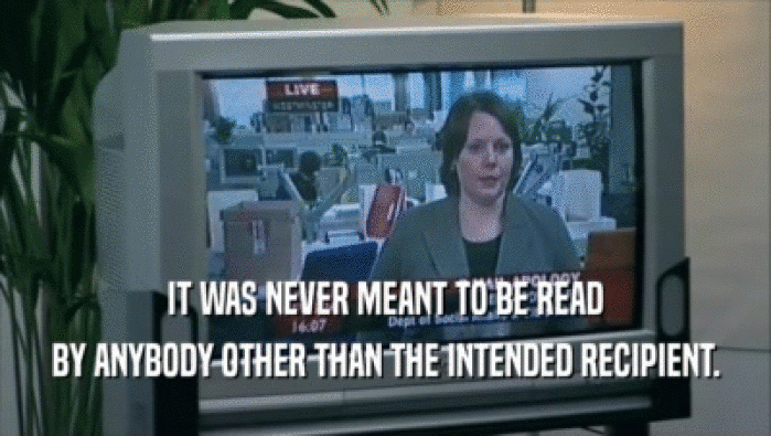 IT WAS NEVER MEANT TO BE READ BY ANYBODY OTHER THAN THE INTENDED RECIPIENT. 