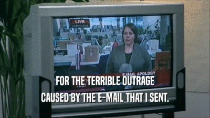 FOR THE TERRIBLE OUTRAGE CAUSED BY THE E-MAIL THAT I SENT. 