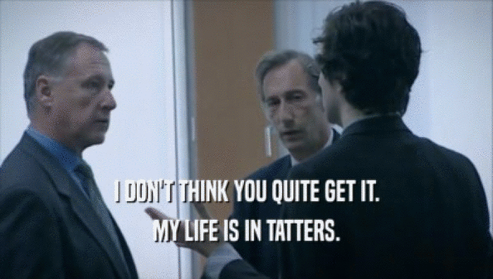 I DON'T THINK YOU QUITE GET IT. MY LIFE IS IN TATTERS. 