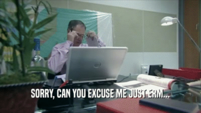 SORRY, CAN YOU EXCUSE ME JUST ERM...  