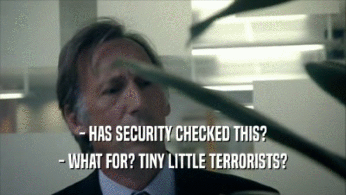 - HAS SECURITY CHECKED THIS? - WHAT FOR? TINY LITTLE TERRORISTS? 