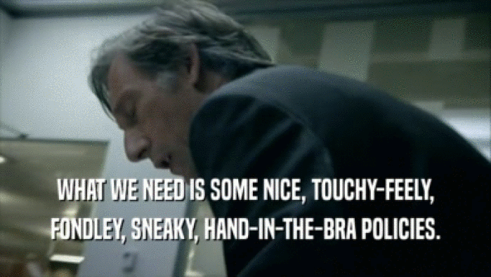 WHAT WE NEED IS SOME NICE, TOUCHY-FEELY,
 FONDLEY, SNEAKY, HAND-IN-THE-BRA POLICIES.
 
