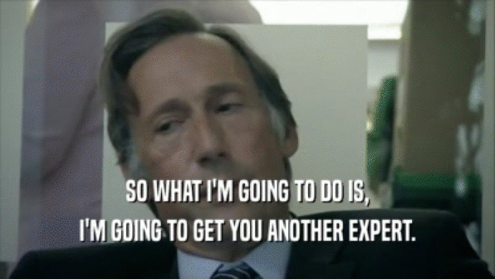 SO WHAT I'M GOING TO DO IS, I'M GOING TO GET YOU ANOTHER EXPERT. 