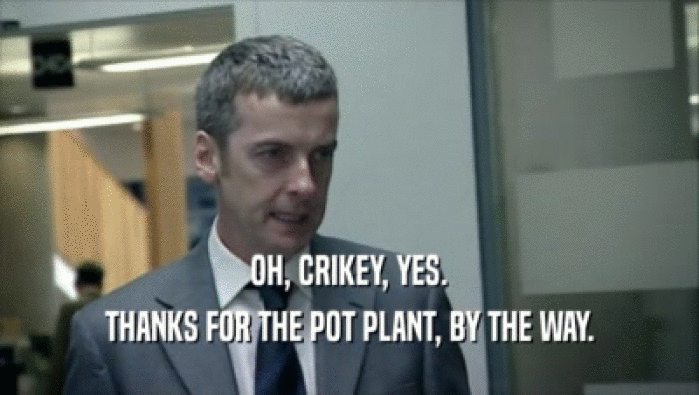 OH, CRIKEY, YES. THANKS FOR THE POT PLANT, BY THE WAY. 