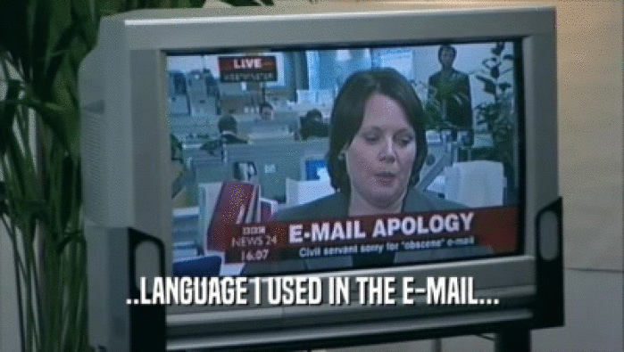 ..LANGUAGE I USED IN THE E-MAIL...  