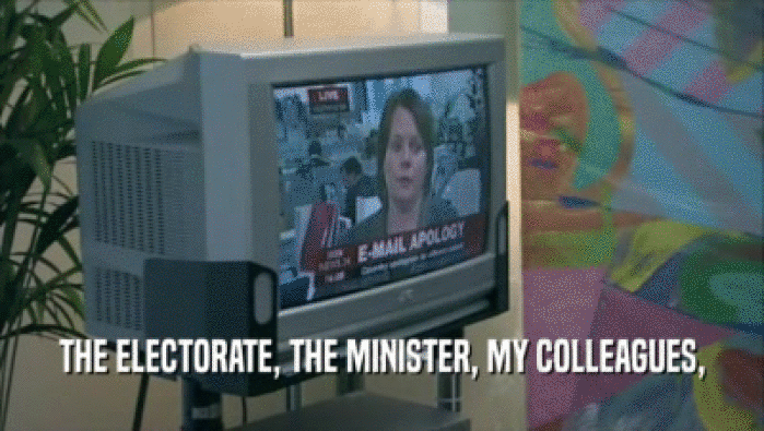 THE ELECTORATE, THE MINISTER, MY COLLEAGUES,  