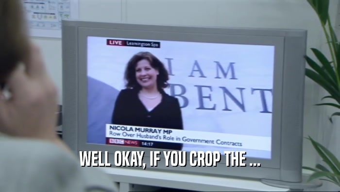 WELL OKAY, IF YOU CROP THE ...  
