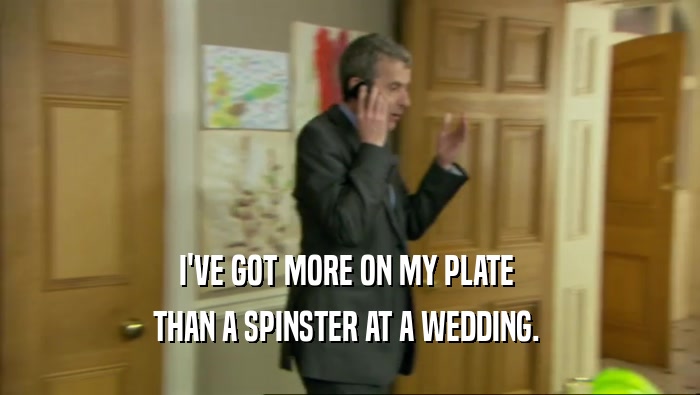 I'VE GOT MORE ON MY PLATE  THAN A SPINSTER AT A WEDDING.  