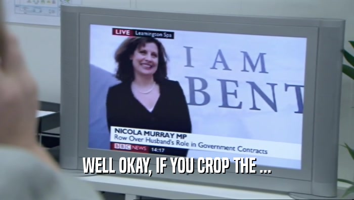 WELL OKAY, IF YOU CROP THE ...  