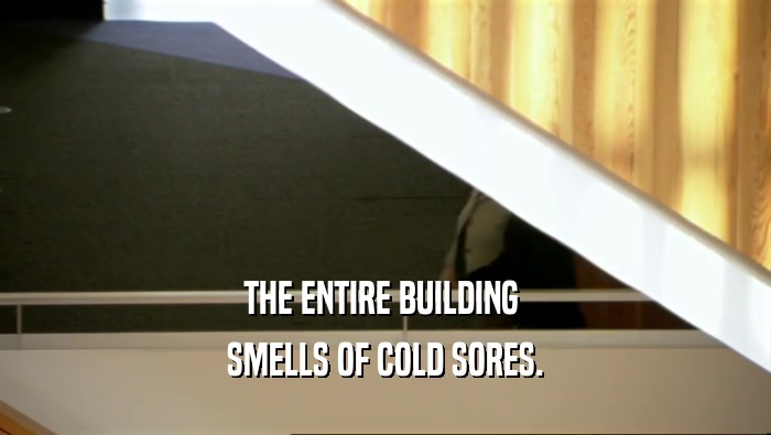 THE ENTIRE BUILDING  SMELLS OF COLD SORES. 