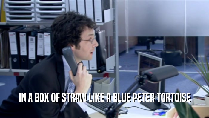 IN A BOX OF STRAW LIKE A BLUE PETER TORTOISE  