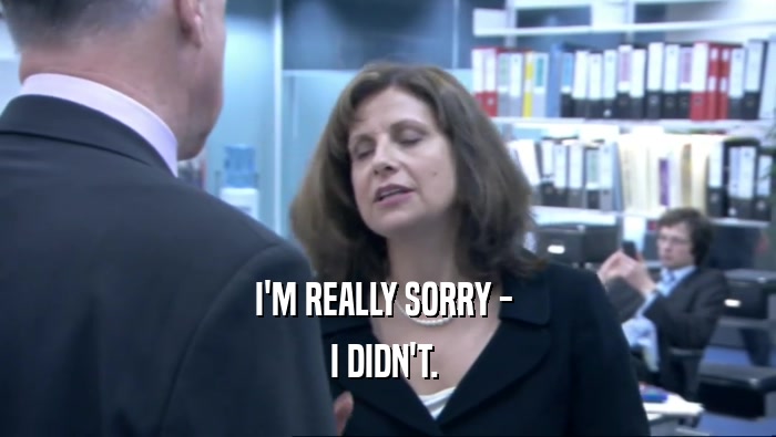 I'M REALLY SORRY -  I DIDN'T.  