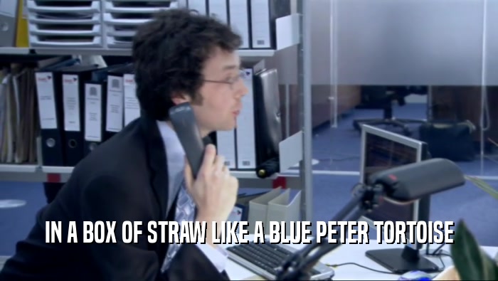 IN A BOX OF STRAW LIKE A BLUE PETER TORTOISE  