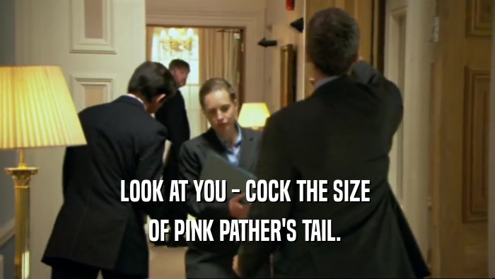 LOOK AT YOU - COCK THE SIZE  OF PINK PATHER'S TAIL.  