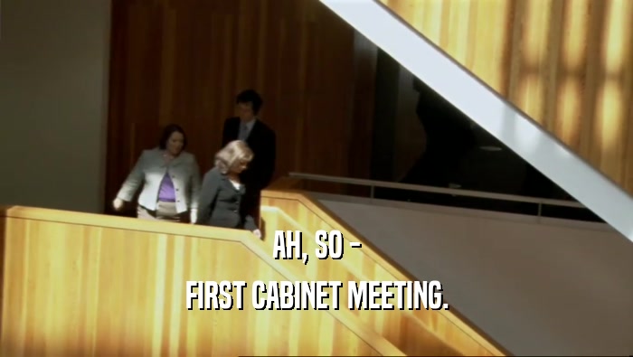 AH, SO - FIRST CABINET MEETING. 