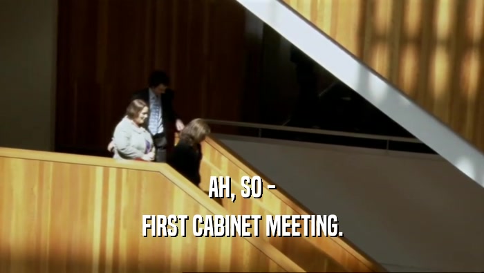 AH, SO - FIRST CABINET MEETING. 