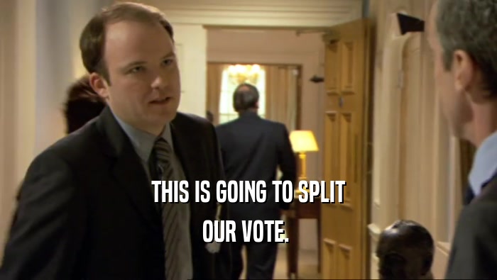 THIS IS GOING TO SPLIT OUR VOTE.  