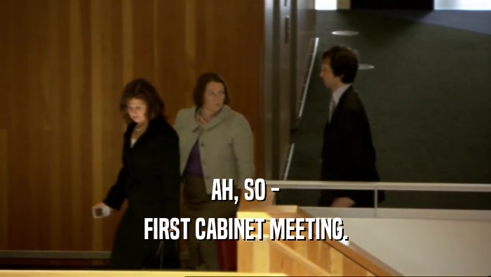 AH, SO - FIRST CABINET MEETING. 