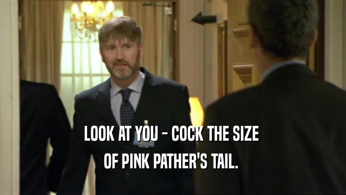 LOOK AT YOU - COCK THE SIZE  OF PINK PATHER'S TAIL.  