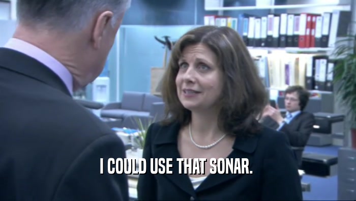 I COULD USE THAT SONAR.   