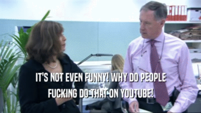 IT'S NOT EVEN FUNNY! WHY DO PEOPLE FUCKING DO THAT ON YOUTUBE! 
